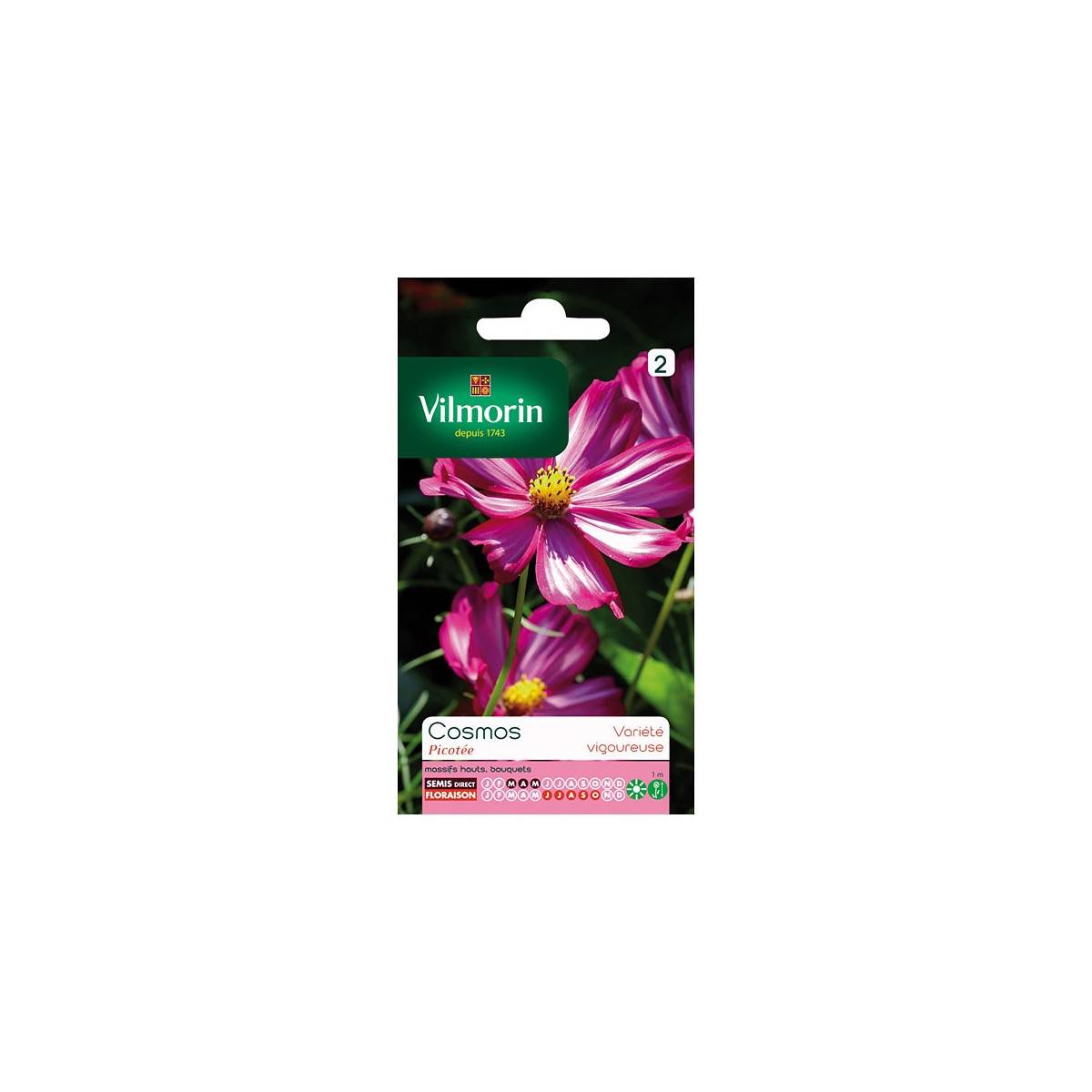 Sachets graines Cosmos Picotée Vilmorin