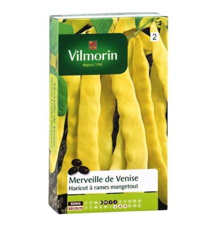 Fiche produit Haricot à rames mangetout MERVEILLE DE VENISE