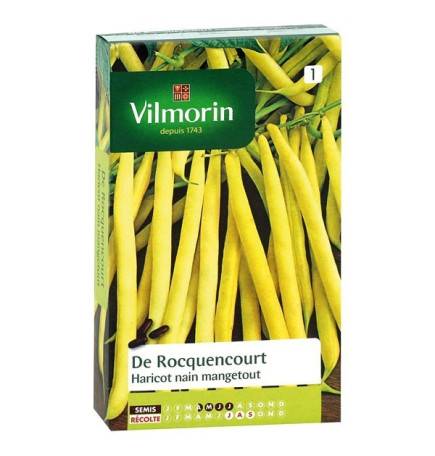 Fiche produit Haricot nain mangetout DE ROCQUENCOURT