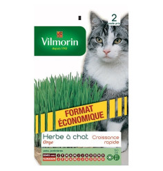 Fiche produit Herbe à Chat