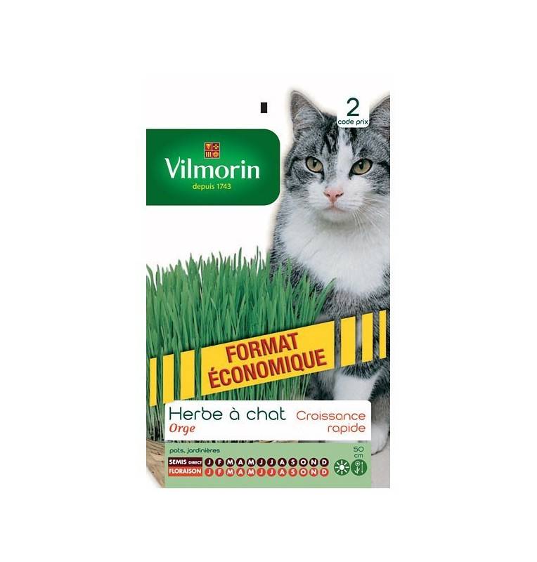 Fiche produit Herbe à Chat