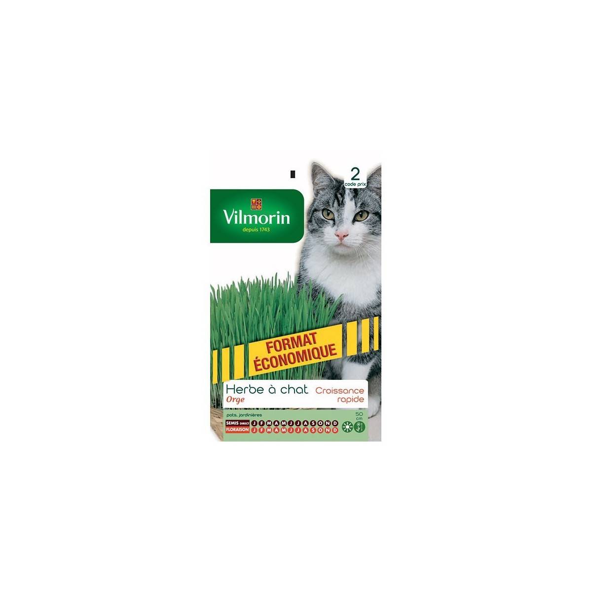 Fiche produit Herbe à Chat