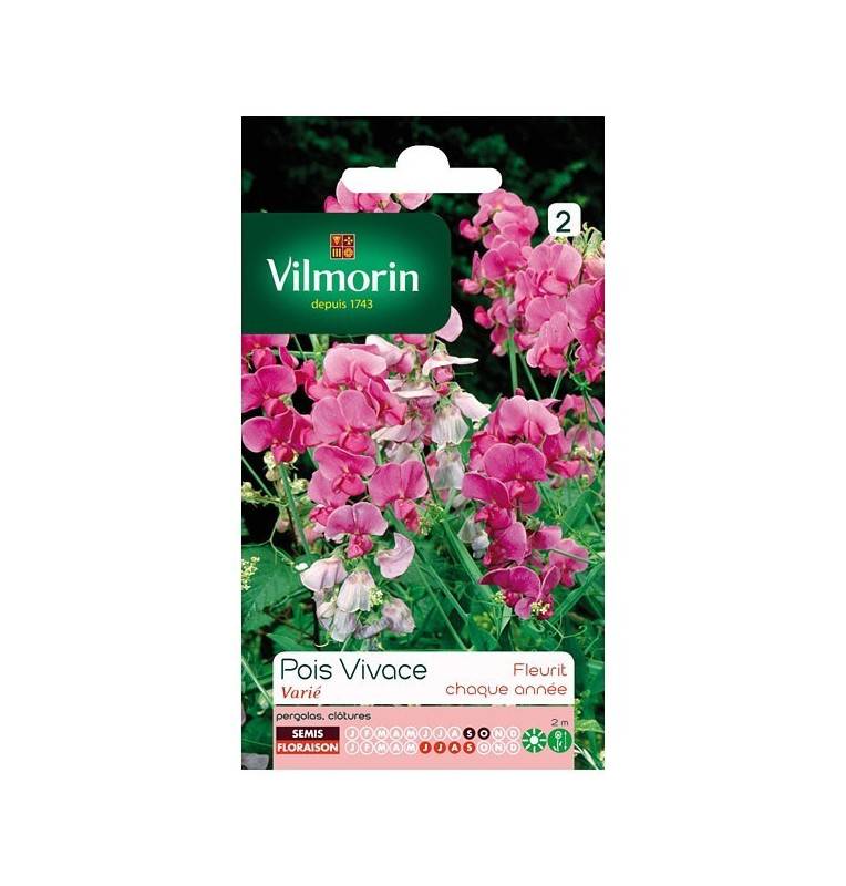 Product sheet Perennial pea variety