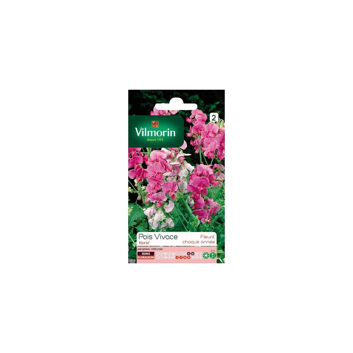 Product sheet Perennial pea variety