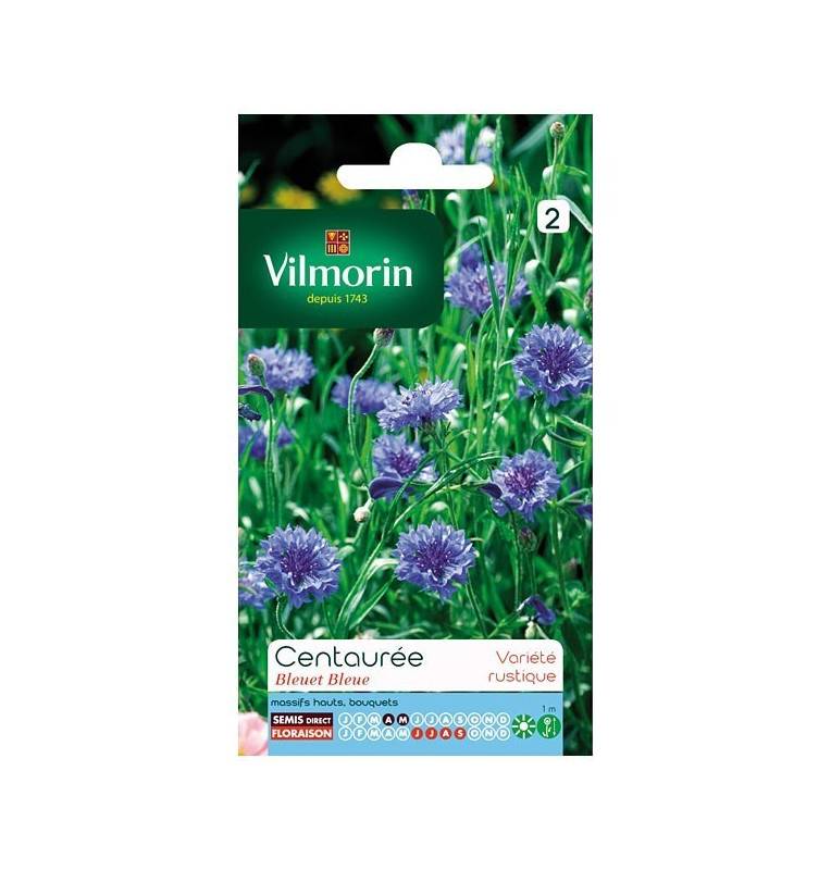 Blue Cornflower Centaury product sheet