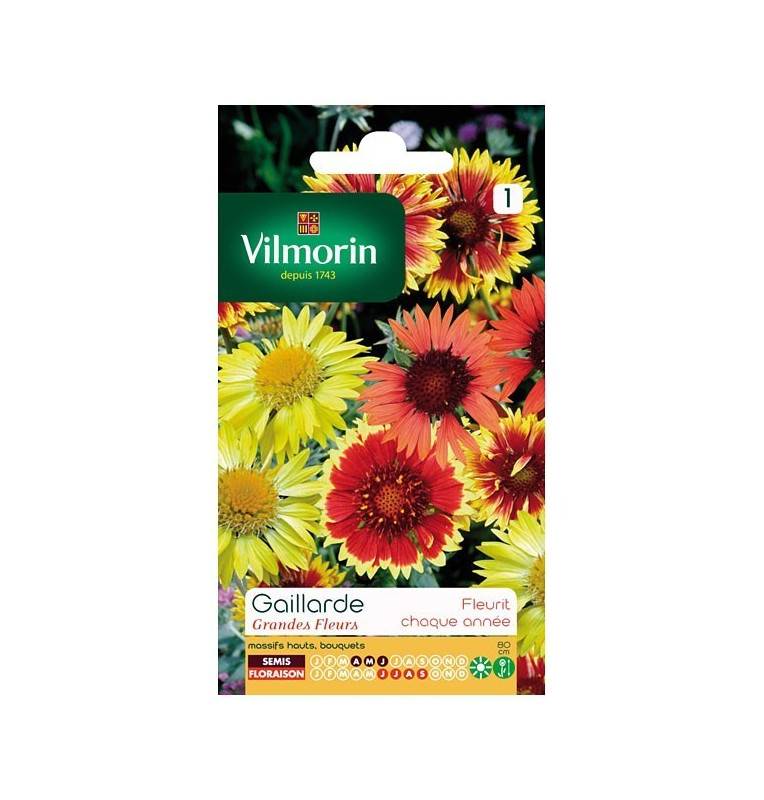 Fiche produit Gaillarde Grandes fleurs