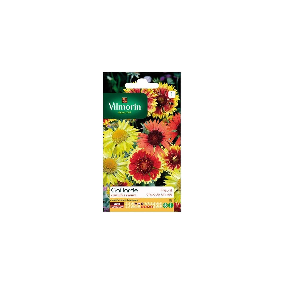 Fiche produit Gaillarde Grandes fleurs