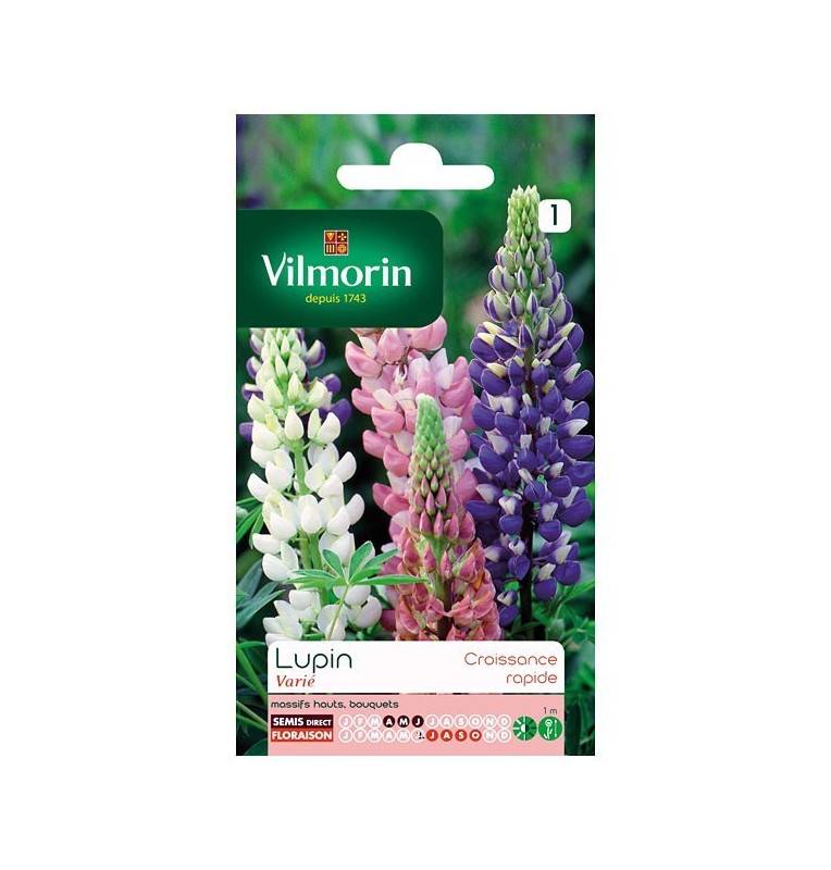 Fiche produit Lupin annuel en mélange