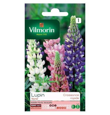 Fiche produit Lupin annuel en mélange