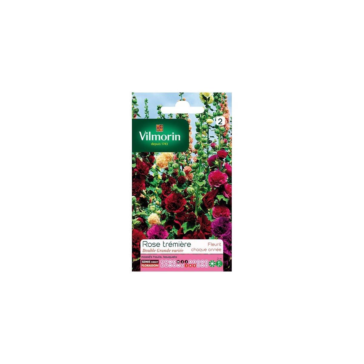 Product sheet Double wide hollyhock