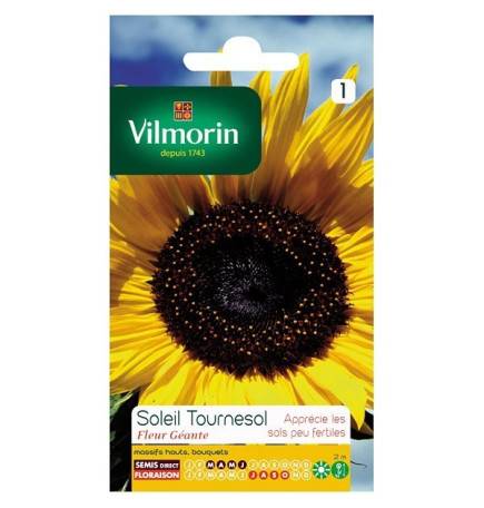 Fiche produit Soleil tournesol fleur géante