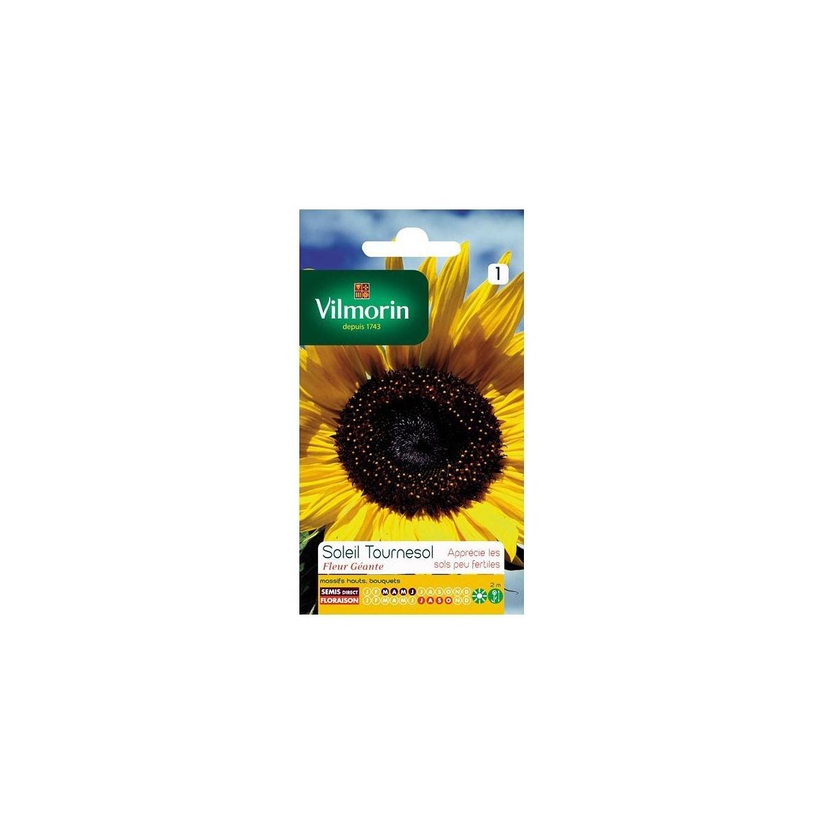 Fiche produit Soleil tournesol fleur géante