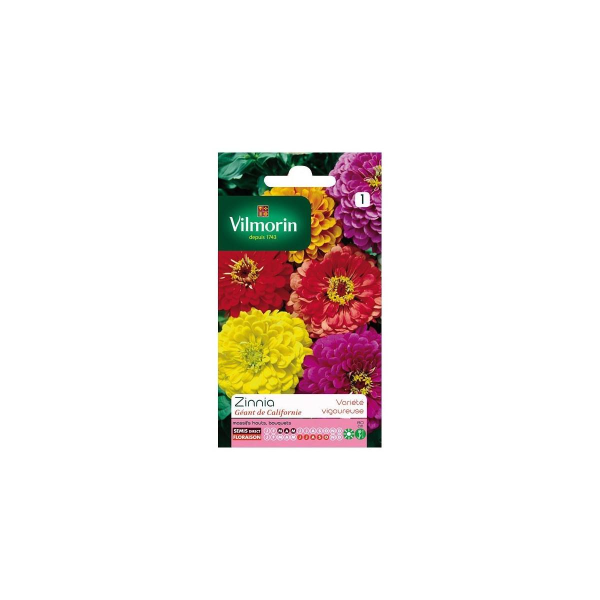 Fiche produit Zinnia Géant de Californie