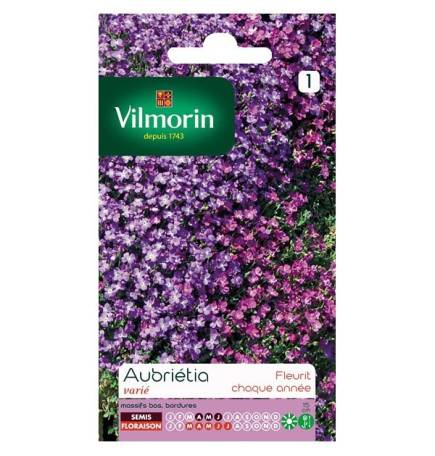 Fiche produit Aubrietia varié