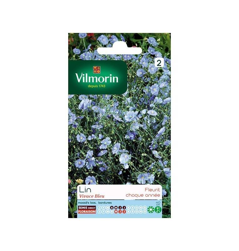 Fiche produit Lin vivace bleu