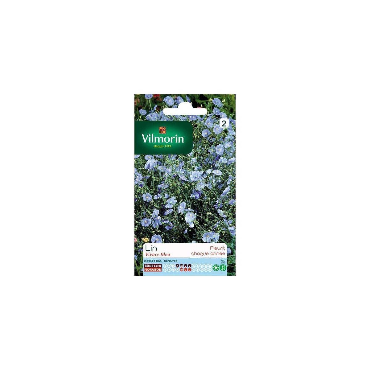 Product sheet Blue perennial