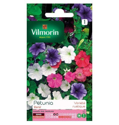 Product sheet Petunia variety