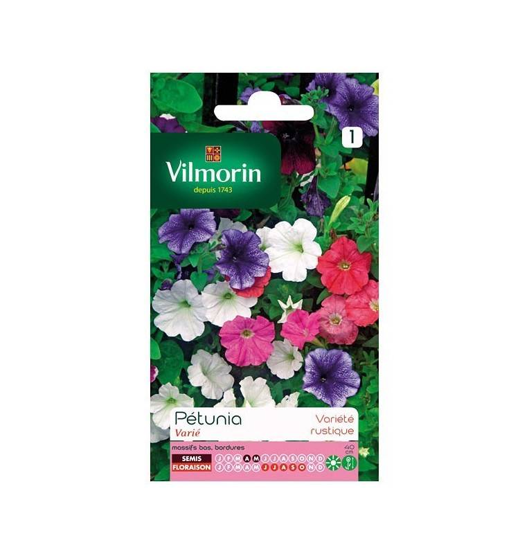 Product sheet Petunia variety