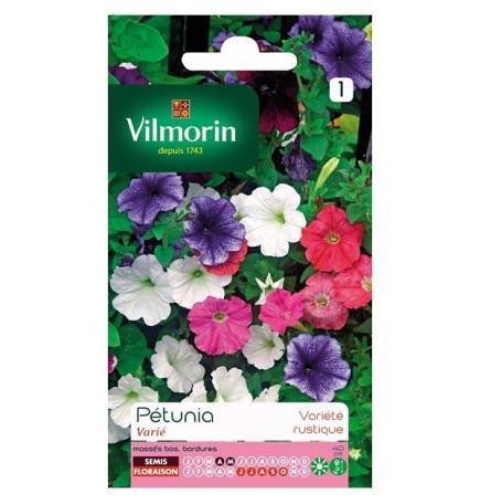 Product sheet Petunia variety