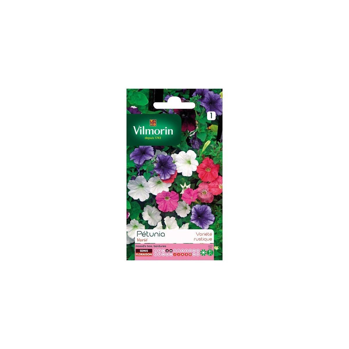 Product sheet Petunia variety