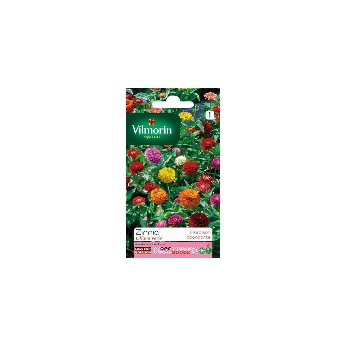 Fiche produit Zinnia Lilliput varié