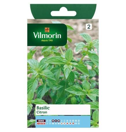 Fiche produit Basilic Citron