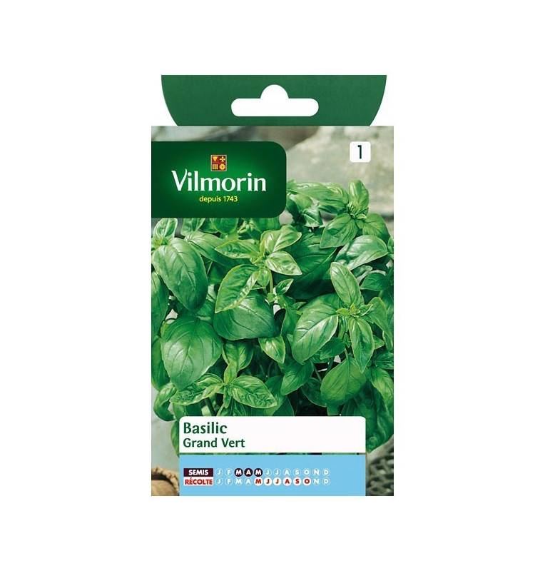 Product sheet Basil Grand vert