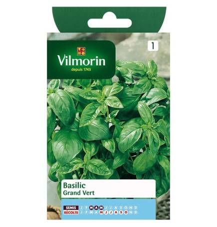 Fiche produit Basilic Grand vert