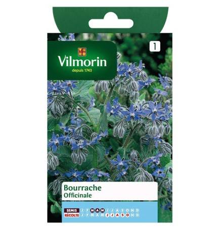 Product sheet Borage Officinale