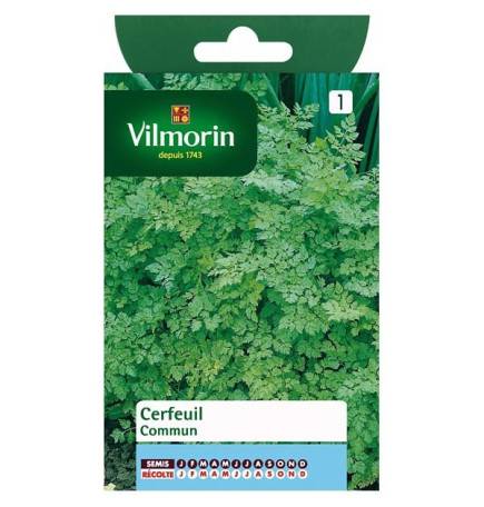 Product sheet Common chervil