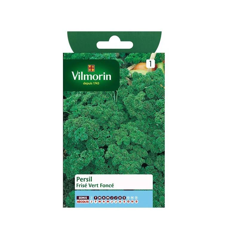 Product sheet Dark green curly parsley