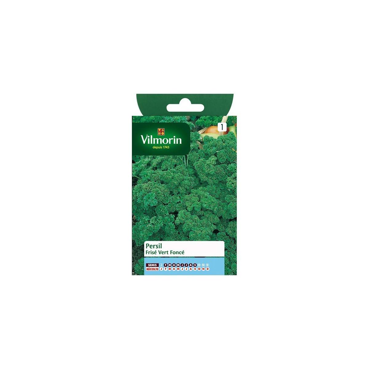 Fiche produit Persil frisé vert foncé