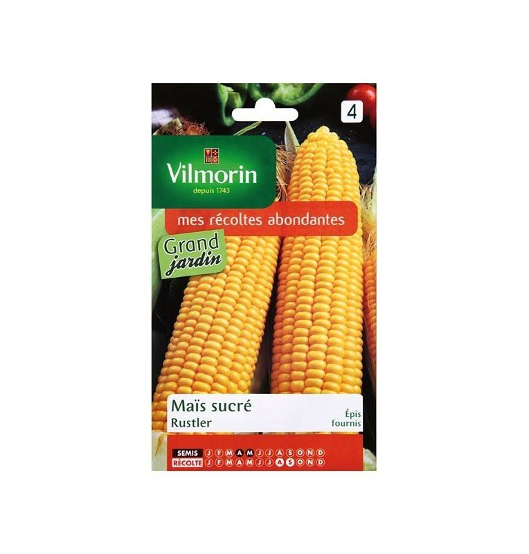 Product sheet Sweet corn Rustler