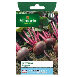 Product sheet Beetroot from Egypt