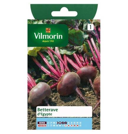 Product sheet Beetroot from Egypt