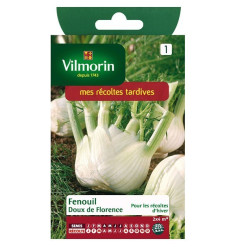 Fenchel Florence