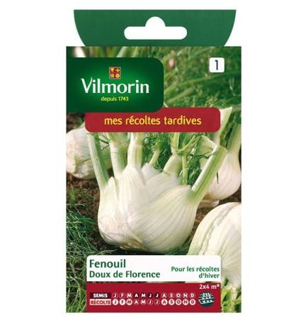 Fenchel Florence