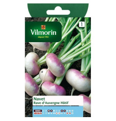 Product sheet Turnip rave d'auvergne early