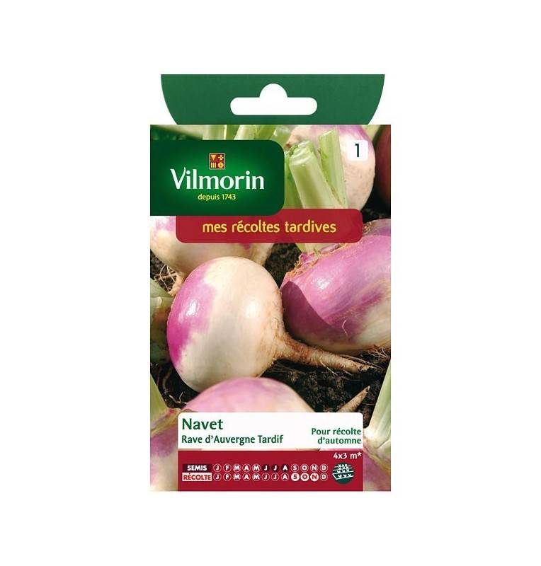 Product sheet Turnip rave d'auvergne tardif