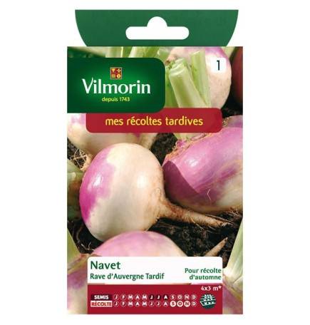 Product sheet Turnip rave d'auvergne tardif