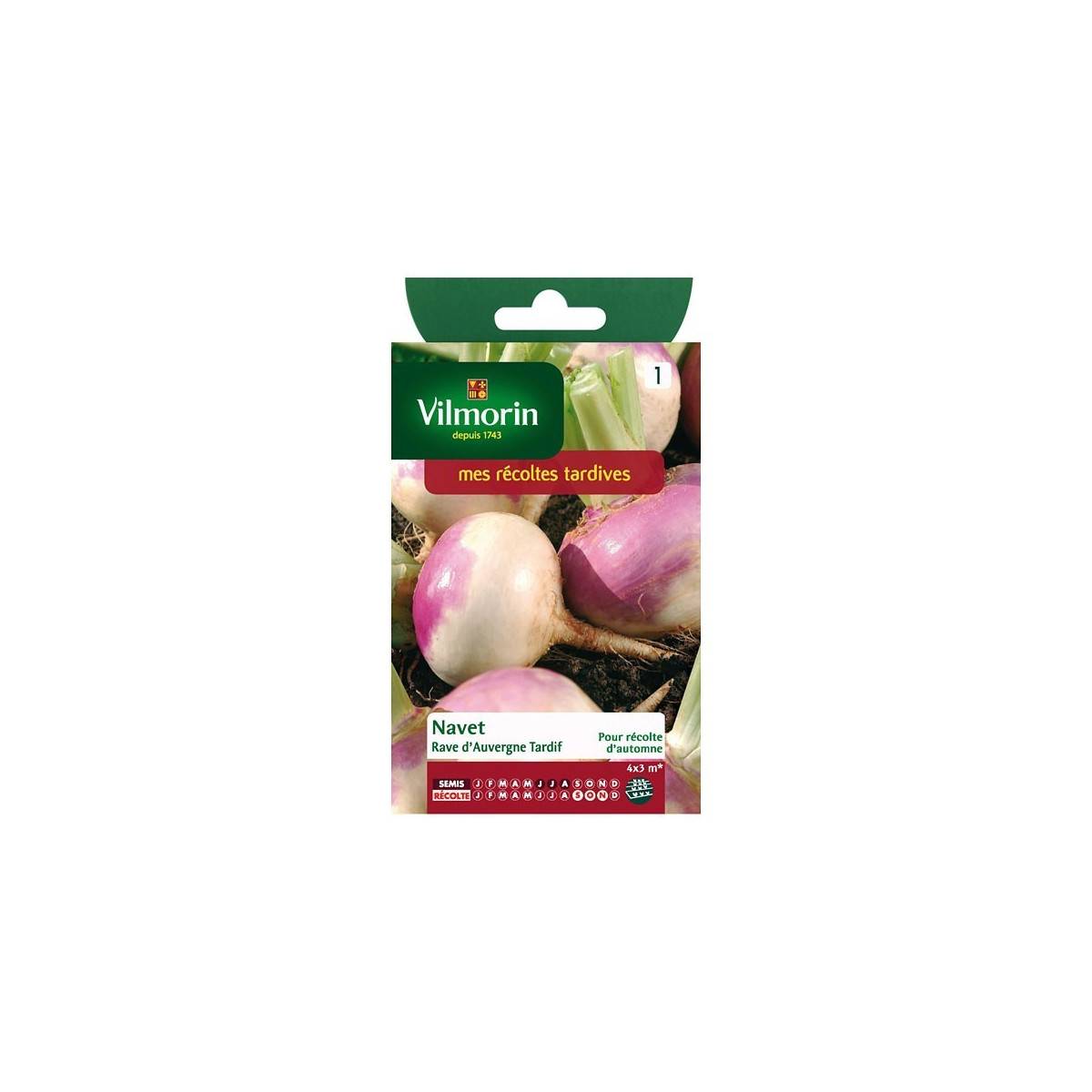 Product sheet Turnip rave d'auvergne tardif