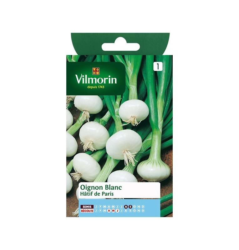 Product sheet Early white onion of Paris