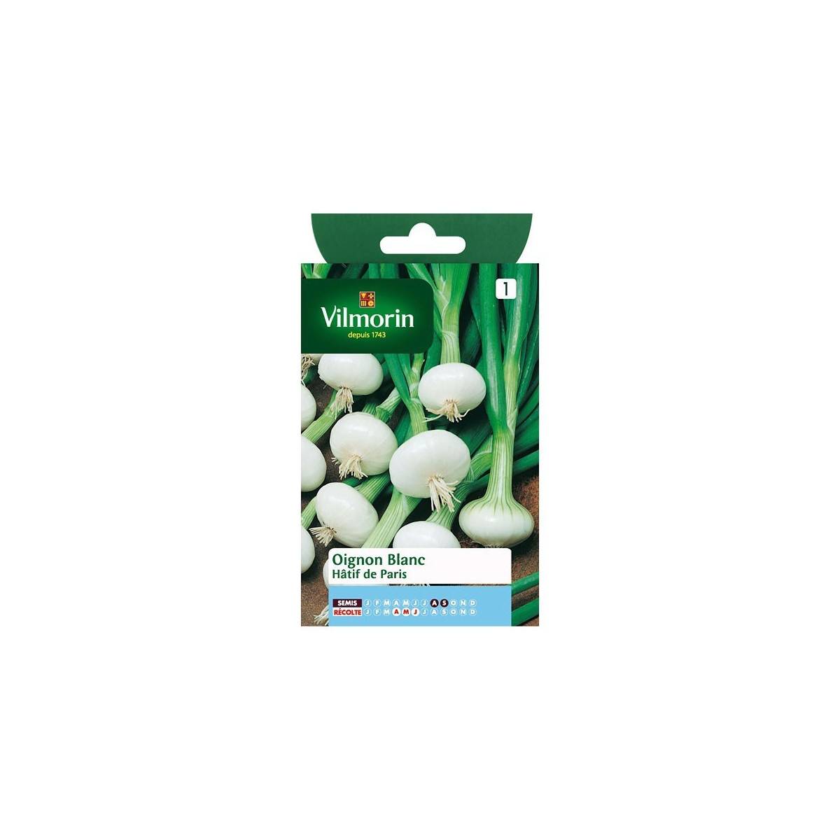 Product sheet Early white onion of Paris