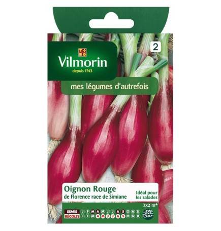 Fiche produit Oignon rouge de Florence race de Simiane