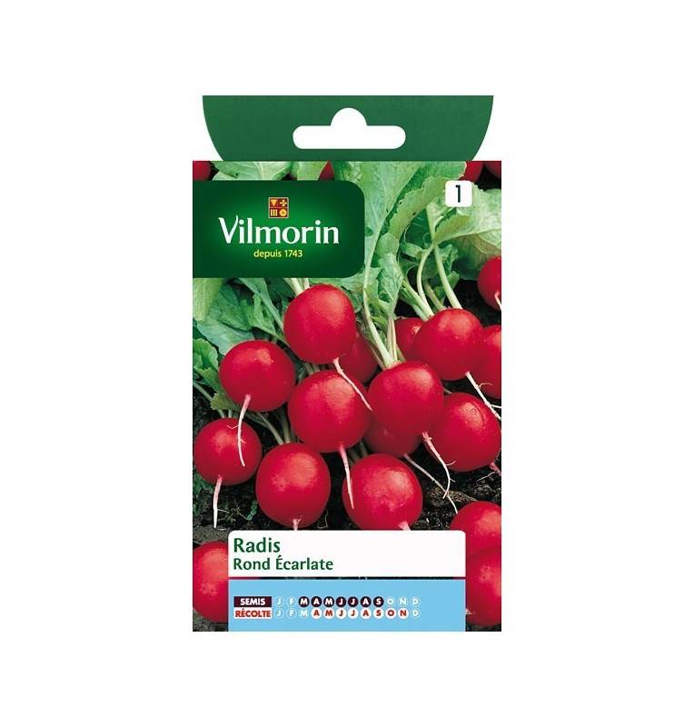 Product sheet Round scarlet radishes