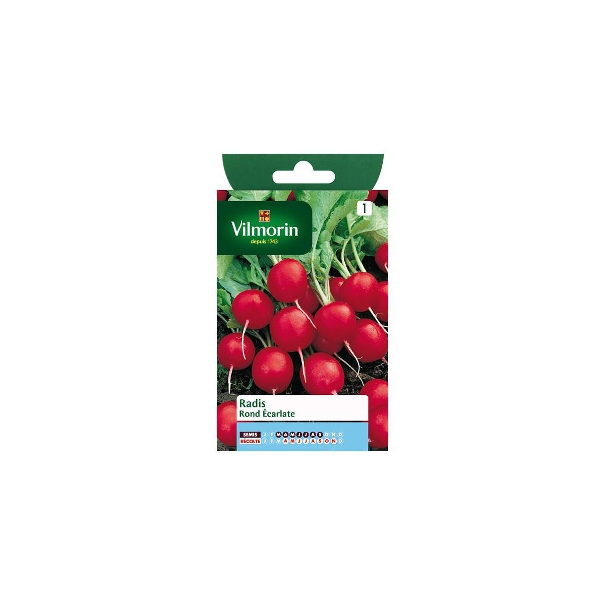 Product sheet Round scarlet radishes