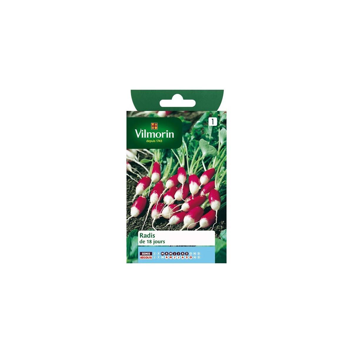 Product sheet Radish 18 days