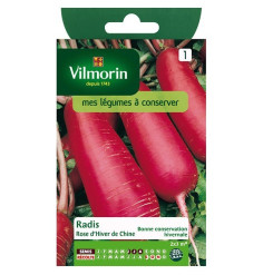 Product sheet Pink winter radish from China