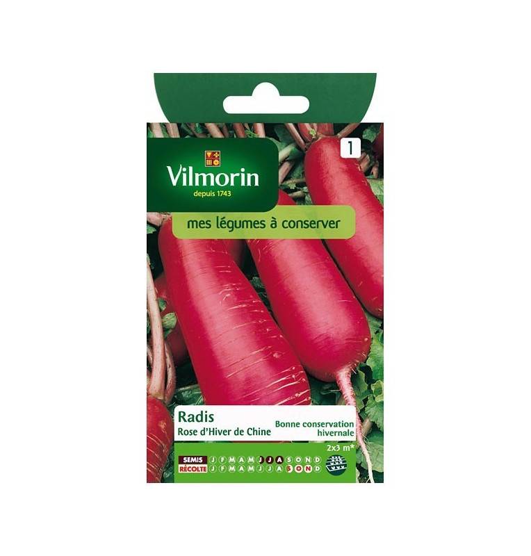 Product sheet Pink winter radish from China