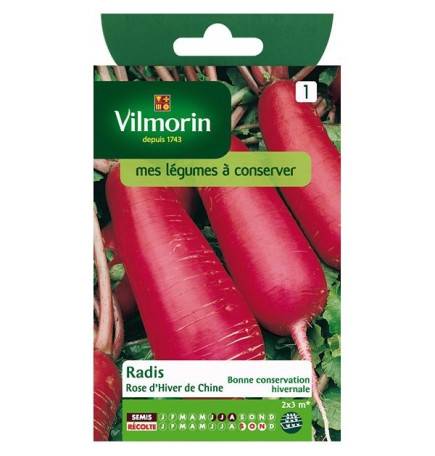 Fiche produit Radis rose d'hiver de chine